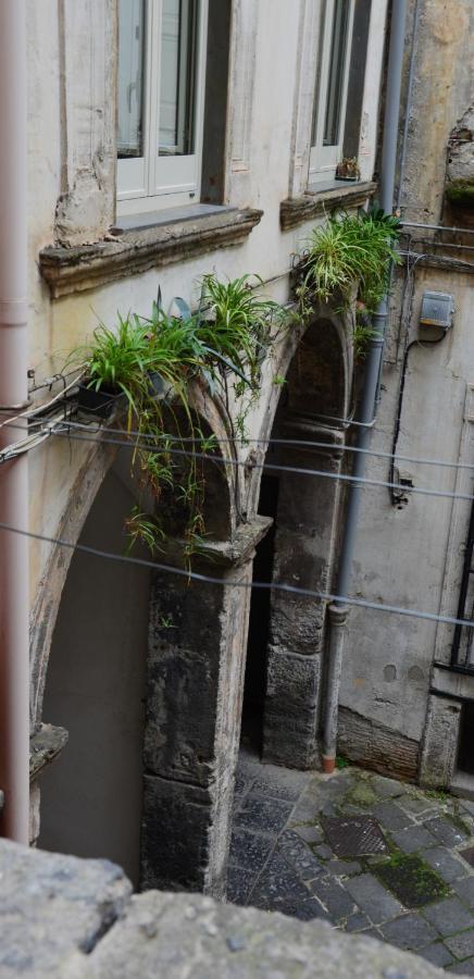 Carmelina 20 Daire Napoli Dış mekan fotoğraf